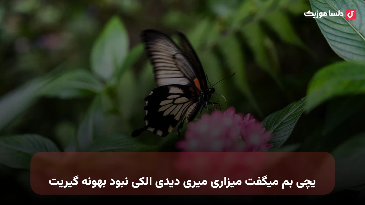 یچی بم میگفت میزاری میری دیدی الکی نبود بهونه گیریت صدای زن